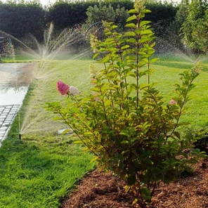 Шеф монтаж вашими руками