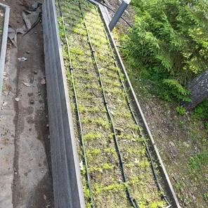 Монтаж автоматического полива грядок